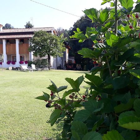 فيلا سالوفي Agriturismo La Scala المظهر الخارجي الصورة