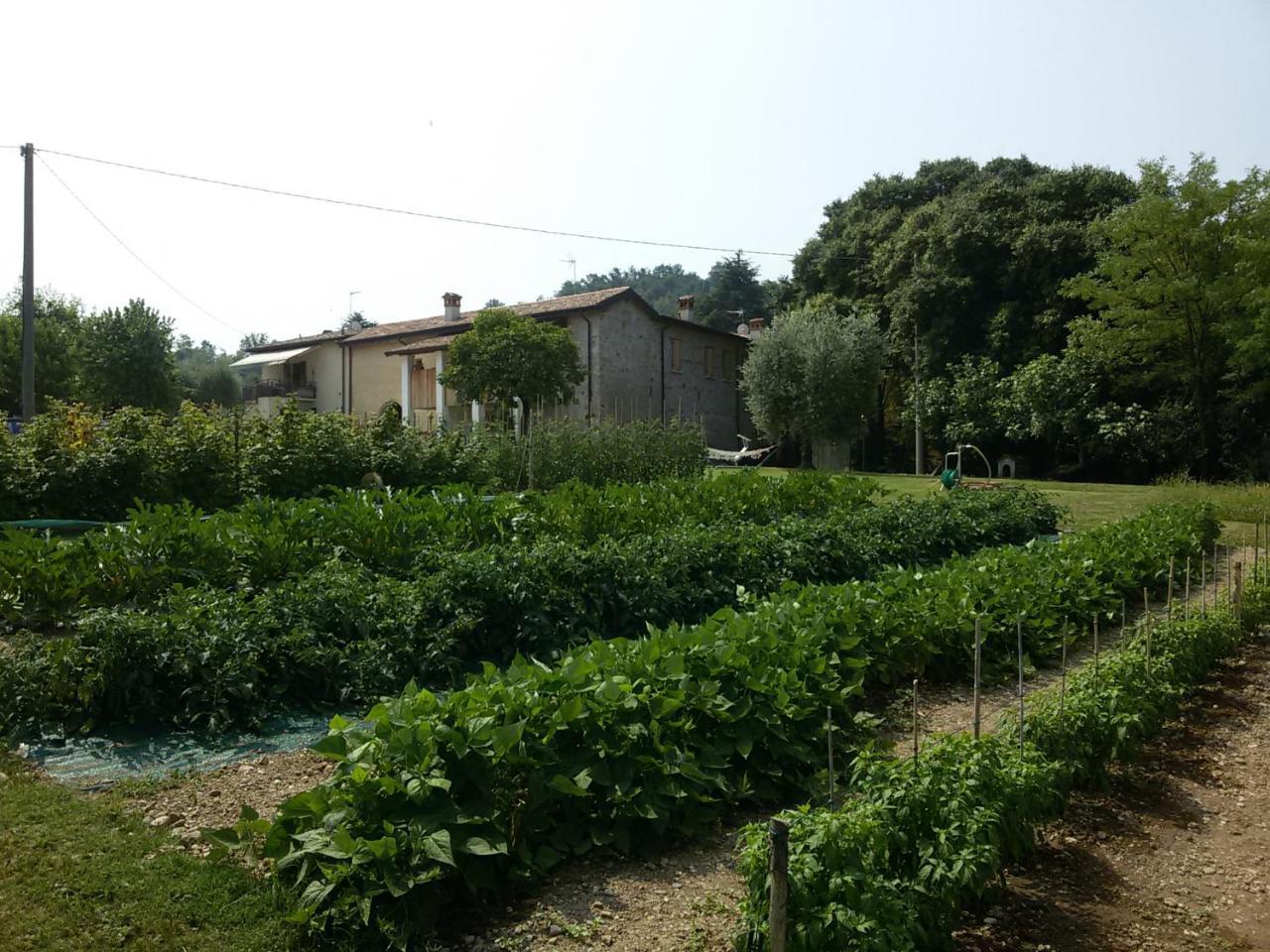 فيلا سالوفي Agriturismo La Scala المظهر الخارجي الصورة