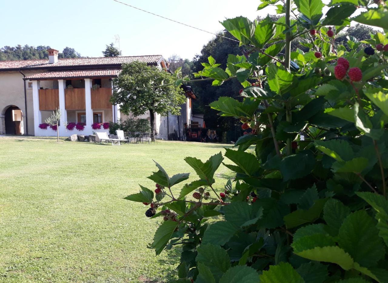 فيلا سالوفي Agriturismo La Scala المظهر الخارجي الصورة